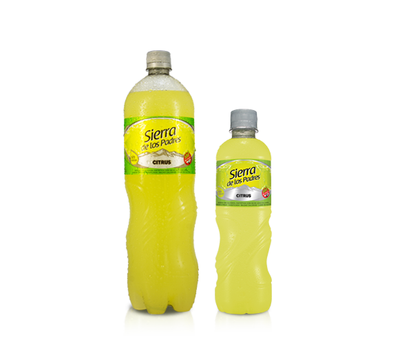 Gaseosa Línea Plata sabor Citrus